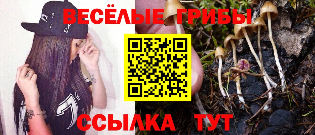 Галлюциногенные грибы GOLDEN TEACHER Кохма